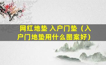 网红地垫 入户门垫（入户门地垫用什么图案好）